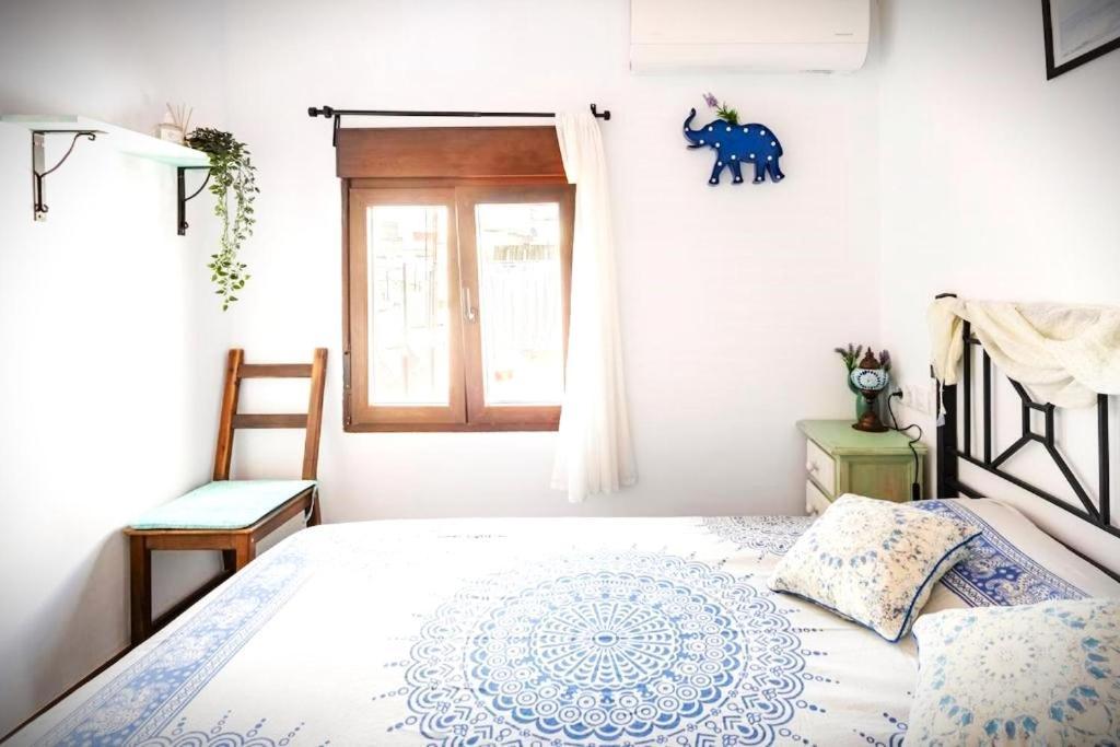 Bright With Ac And Rooftop Terrace In The Heart Of * Cádiz